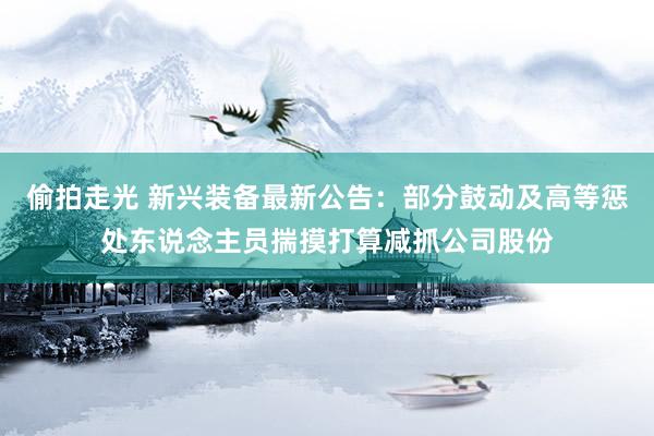 偷拍走光 新兴装备最新公告：部分鼓动及高等惩处东说念主员揣摸打算减抓公司股份