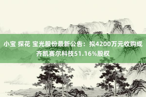 小宝 探花 宝光股份最新公告：拟4200万元收购成齐凯赛尔科技51.16%股权