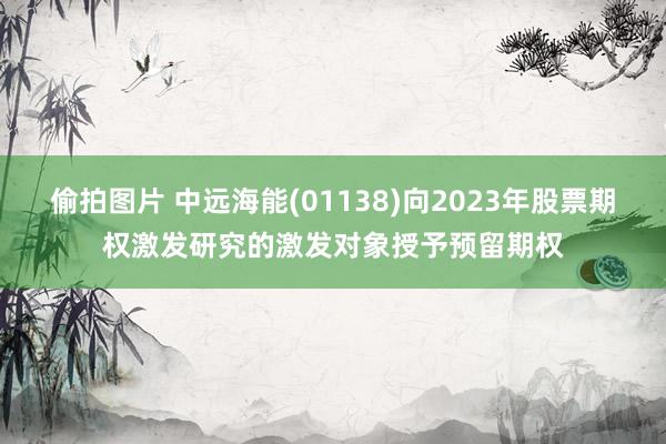 偷拍图片 中远海能(01138)向2023年股票期权激发研究的激发对象授予预留期权