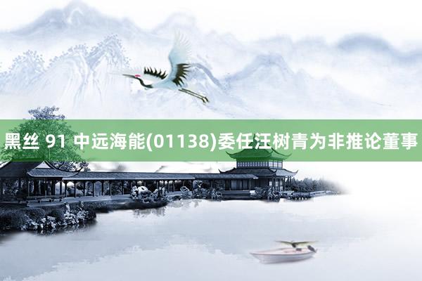 黑丝 91 中远海能(01138)委任汪树青为非推论董事