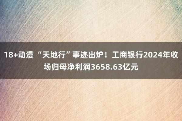 18+动漫 “天地行”事迹出炉！工商银行2024年收场归母净利润3658.63亿元