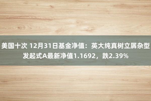 美国十次 12月31日基金净值：英大纯真树立羼杂型发起式A最新净值1.1692，跌2.39%