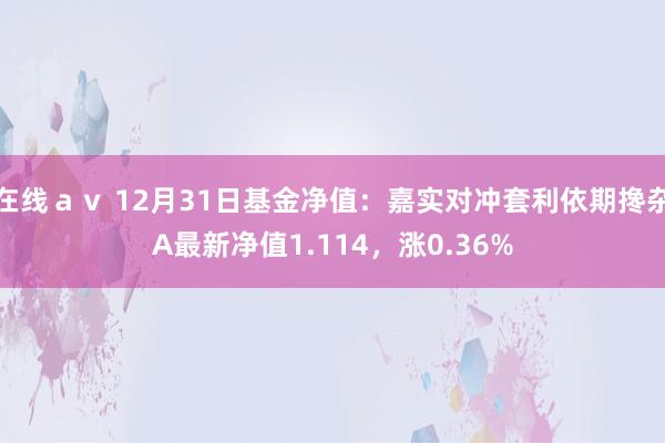 在线ａｖ 12月31日基金净值：嘉实对冲套利依期搀杂A最新净值1.114，涨0.36%