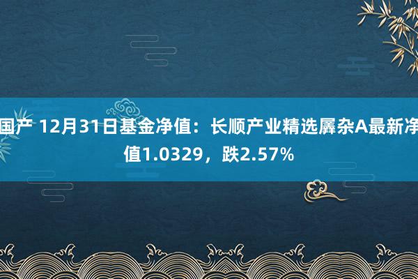 国产 12月31日基金净值：长顺产业精选羼杂A最新净值1.0329，跌2.57%