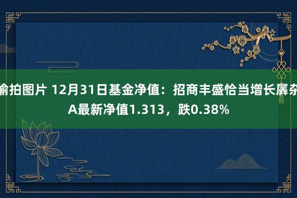 偷拍图片 12月31日基金净值：招商丰盛恰当增长羼杂A最新净值1.313，跌0.38%