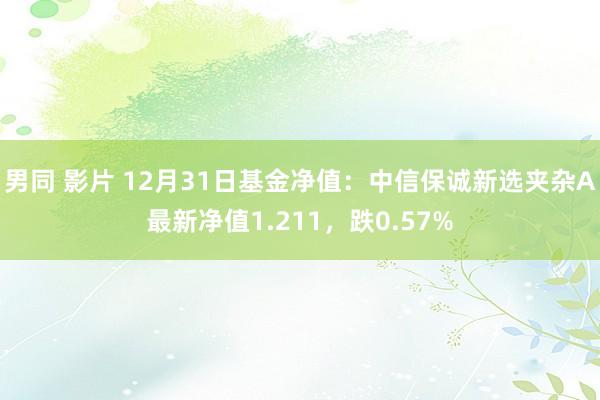 男同 影片 12月31日基金净值：中信保诚新选夹杂A最新净值1.211，跌0.57%
