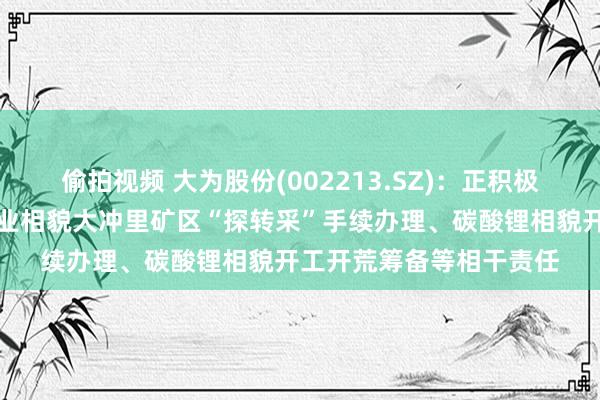 偷拍视频 大为股份(002213.SZ)：正积极激动郴州锂电新动力产业相貌大冲里矿区“探转采”手续办理、碳酸锂相貌开工开荒筹备等相干责任