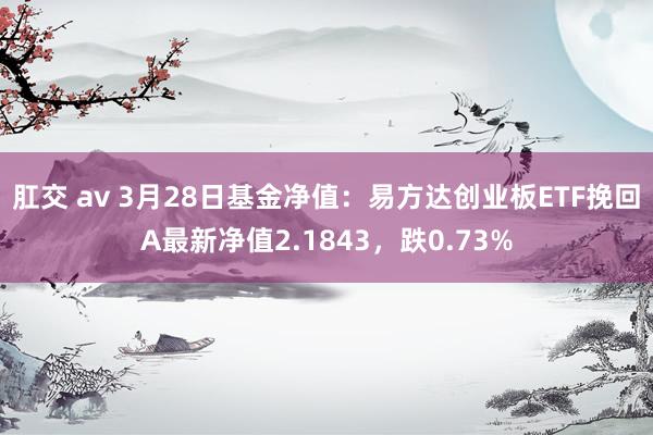 肛交 av 3月28日基金净值：易方达创业板ETF挽回A最新净值2.1843，跌0.73%