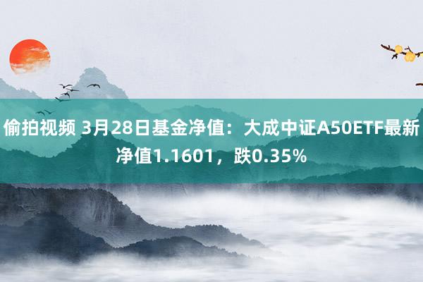 偷拍视频 3月28日基金净值：大成中证A50ETF最新净值1.1601，跌0.35%