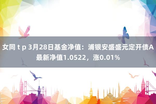 女同 t p 3月28日基金净值：浦银安盛盛元定开债A最新净值1.0522，涨0.01%