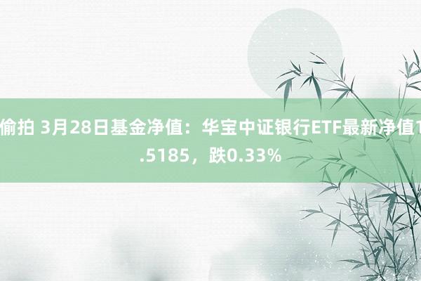 偷拍 3月28日基金净值：华宝中证银行ETF最新净值1.5185，跌0.33%