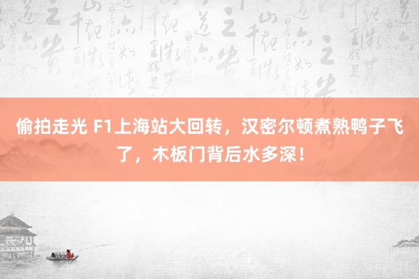 偷拍走光 F1上海站大回转，汉密尔顿煮熟鸭子飞了，木板门背后水多深！