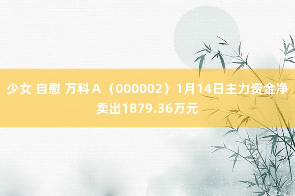少女 自慰 万科Ａ（000002）1月14日主力资金净卖出1879.36万元