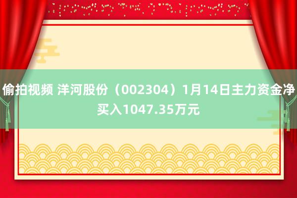 偷拍视频 洋河股份（002304）1月14日主力资金净买入1047.35万元