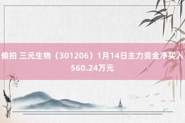 偷拍 三元生物（301206）1月14日主力资金净买入560.24万元