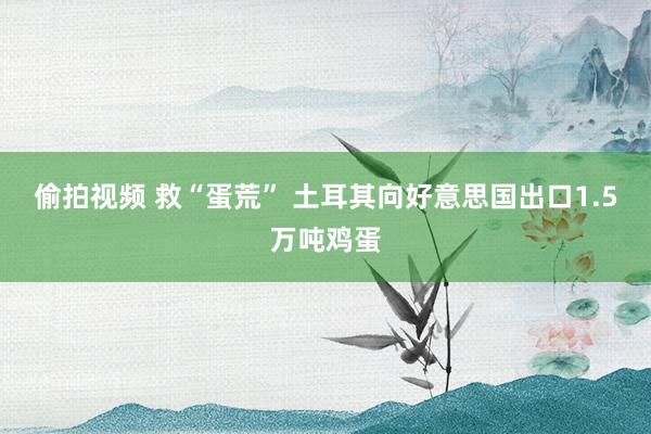 偷拍视频 救“蛋荒” 土耳其向好意思国出口1.5万吨鸡蛋