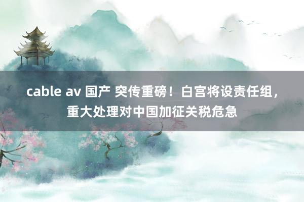 cable av 国产 突传重磅！白宫将设责任组，重大处理对中国加征关税危急