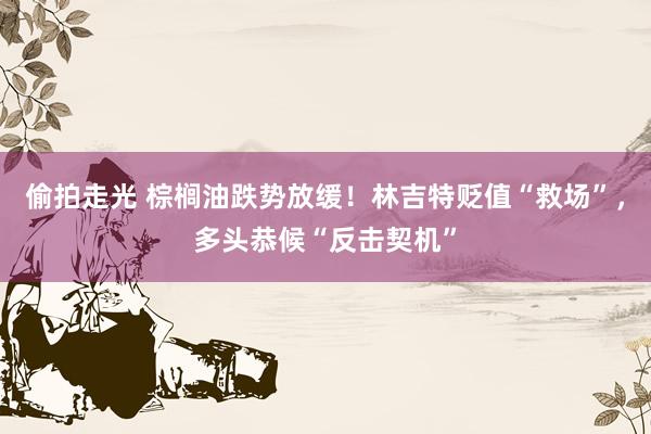 偷拍走光 棕榈油跌势放缓！林吉特贬值“救场”，多头恭候“反击契机”