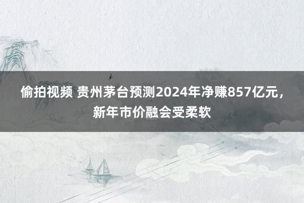偷拍视频 贵州茅台预测2024年净赚857亿元，新年市价融会受柔软