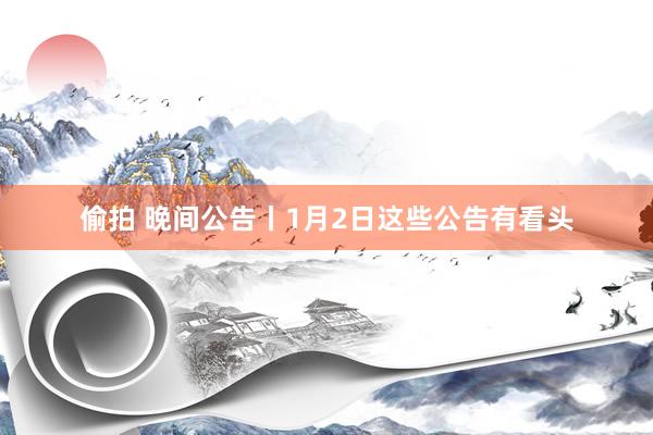 偷拍 晚间公告丨1月2日这些公告有看头