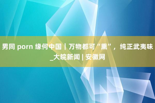 男同 porn 缘何中国｜万物都可“熏”，纯正武夷味_大皖新闻 | 安徽网