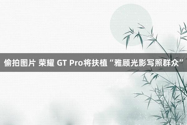 偷拍图片 荣耀 GT Pro将扶植“雅顾光影写照群众”