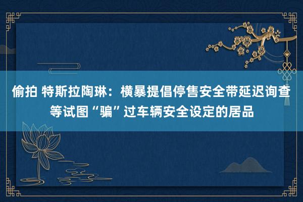 偷拍 特斯拉陶琳：横暴提倡停售安全带延迟询查等试图“骗”过车辆安全设定的居品