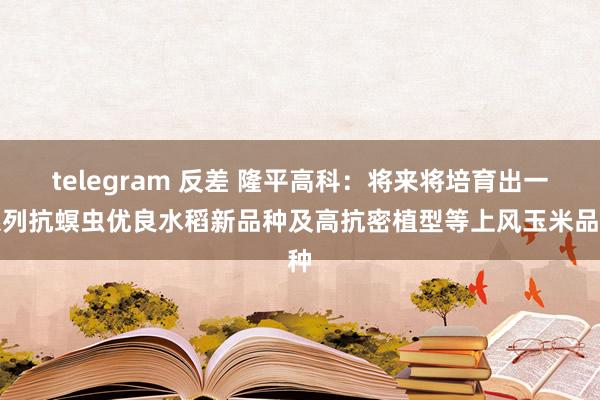 telegram 反差 隆平高科：将来将培育出一系列抗螟虫优良水稻新品种及高抗密植型等上风玉米品种