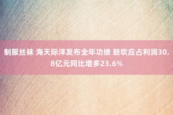 制服丝袜 海天际洋发布全年功绩 鼓吹应占利润30.8亿元同比增多23.6%