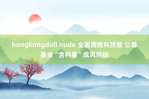 hongkongdoll nude 全面拥抱科技股 公募基金“含科量”成风向标