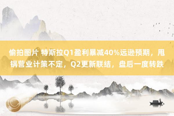 偷拍图片 特斯拉Q1盈利暴减40%远逊预期，甩锅营业计策不定，Q2更新联结，盘后一度转跌