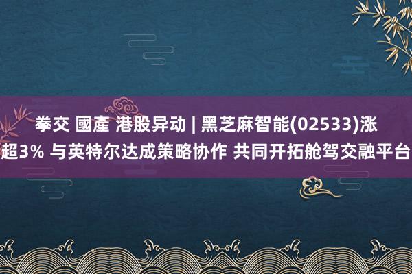 拳交 國產 港股异动 | 黑芝麻智能(02533)涨超3% 与英特尔达成策略协作 共同开拓舱驾交融平台