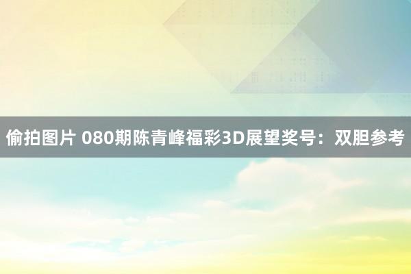偷拍图片 080期陈青峰福彩3D展望奖号：双胆参考
