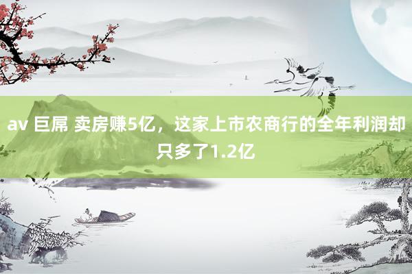 av 巨屌 卖房赚5亿，这家上市农商行的全年利润却只多了1.2亿