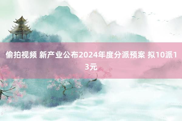偷拍视频 新产业公布2024年度分派预案 拟10派13元
