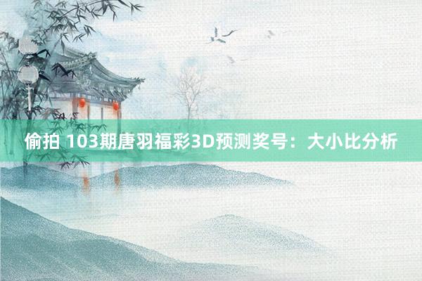 偷拍 103期唐羽福彩3D预测奖号：大小比分析